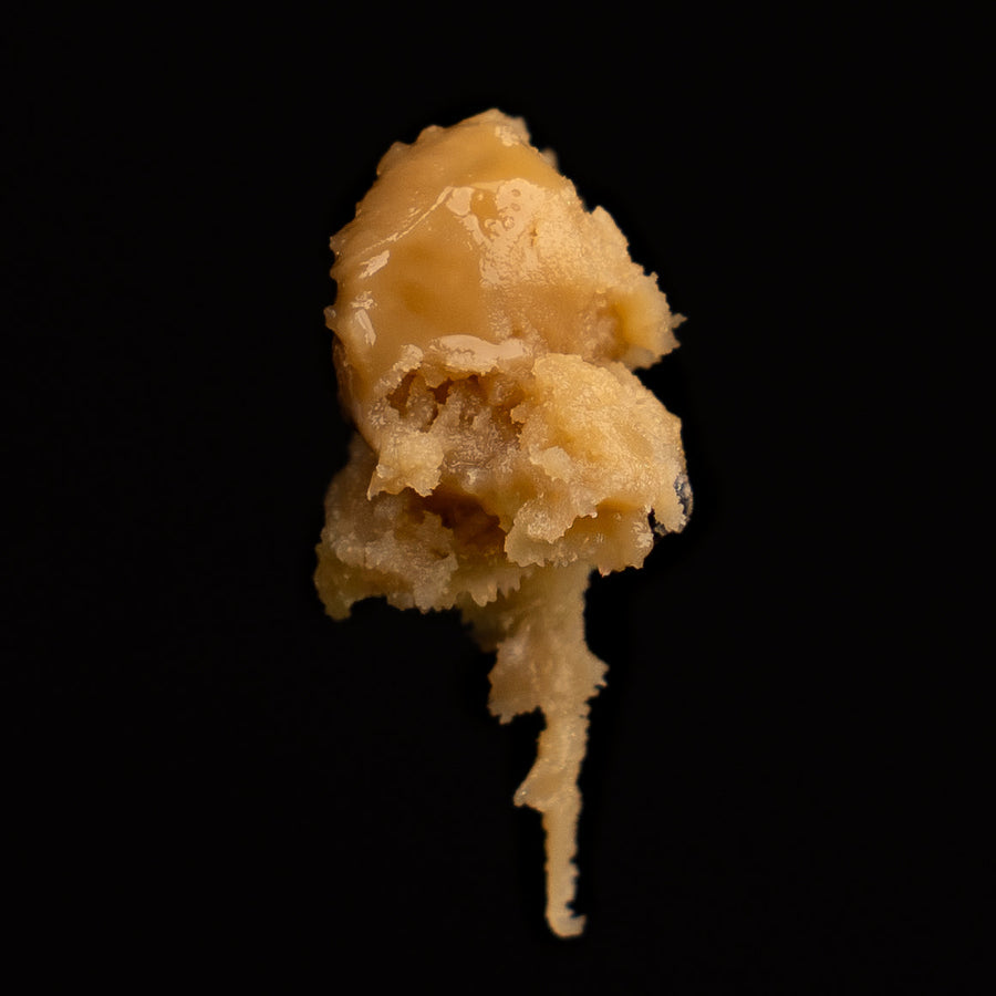 What Does Micron Range Mean in Rosin?
