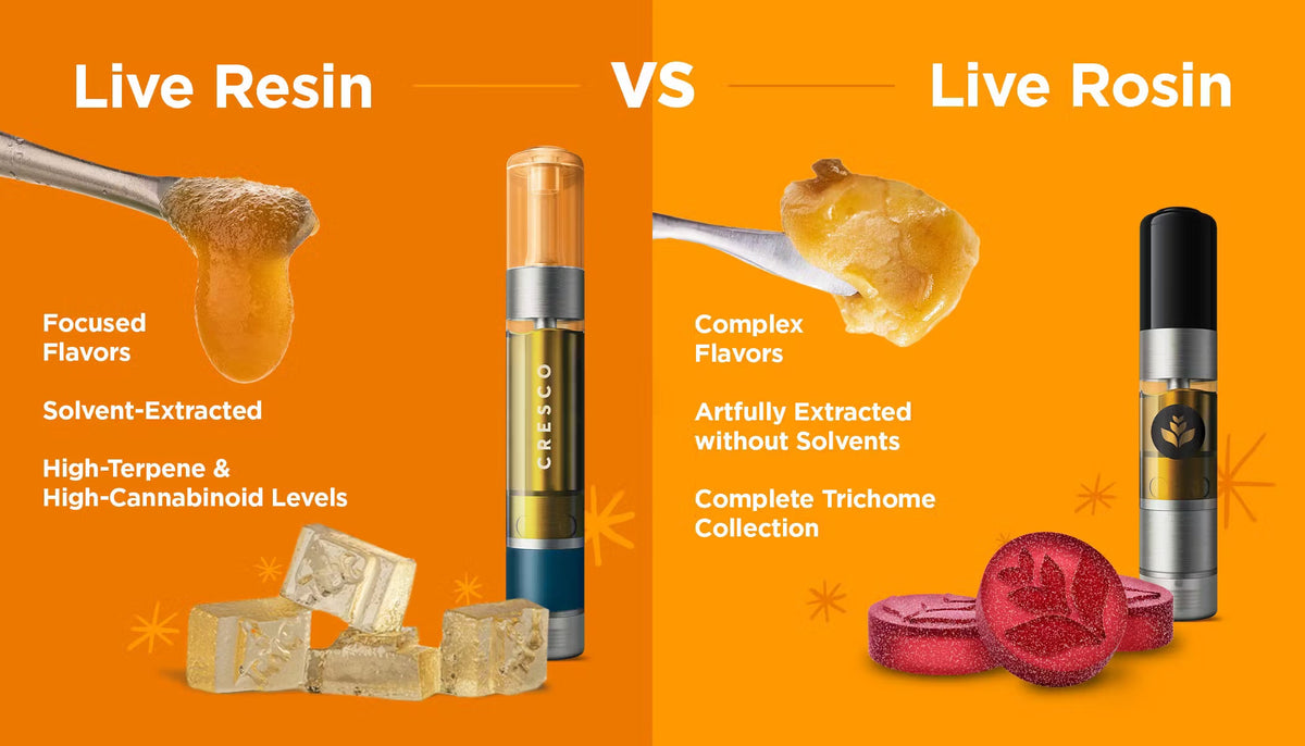 THCA Live Resin vs THCA Live Rosin