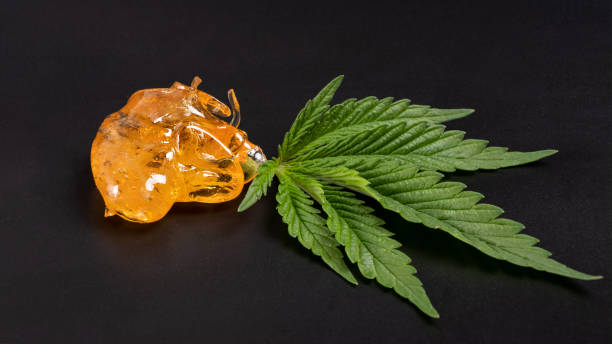 Rosin, resin, badder, diamonds and wax concentrate guide